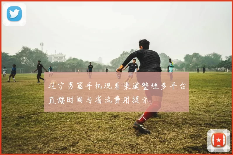 辽宁男篮手机观看渠道整理多平台直播时间与省流费用提示