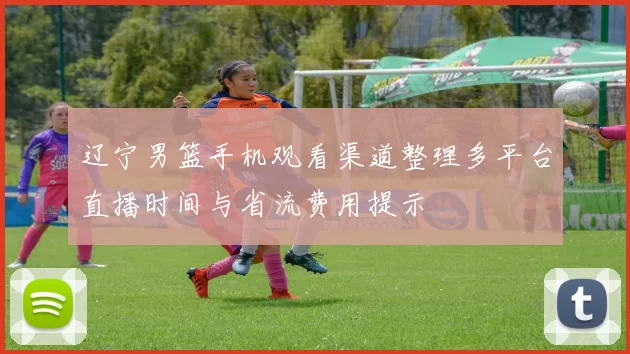 辽宁男篮手机观看渠道整理多平台直播时间与省流费用提示