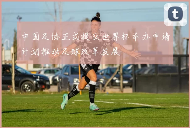 中国足协正式提交世界杯举办申请计划推动足球改革发展