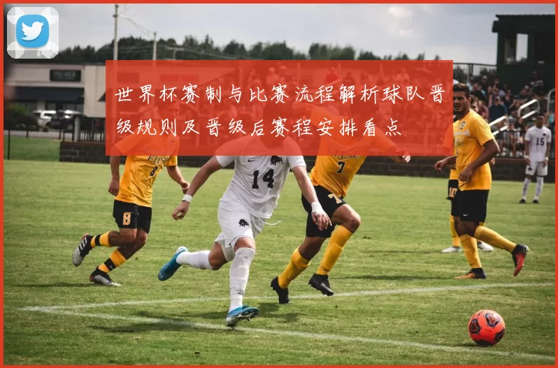 世界杯赛制与比赛流程解析球队晋级规则及晋级后赛程安排看点