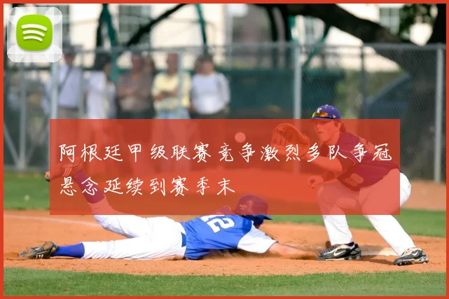 阿根廷甲级联赛竞争激烈多队争冠悬念延续到赛季末